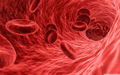 Red Cell 4K .